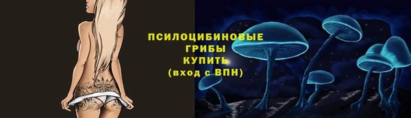 соль ск Балахна