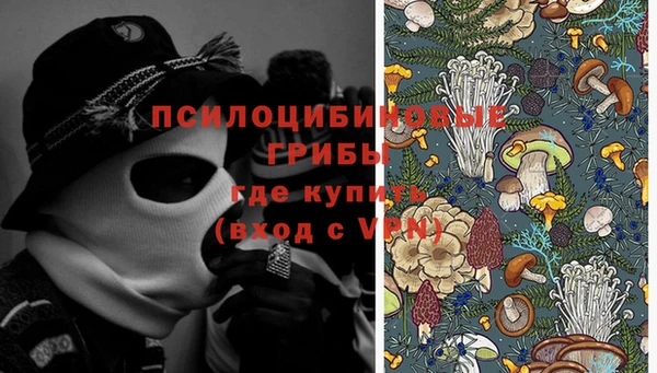 соль ск Балахна