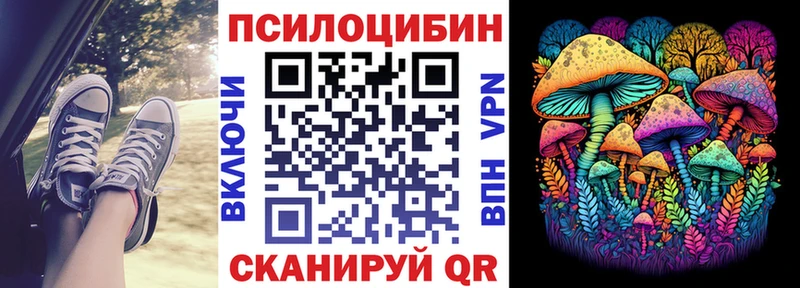 где продают   Лесной  Псилоцибиновые грибы Psilocybe 